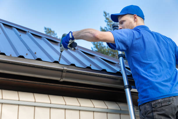 Best Roof Maintenance and Cleaning  in Toccoa, GA