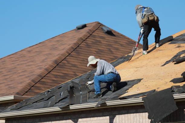 Best Roof Leak Repair  in Toccoa, GA