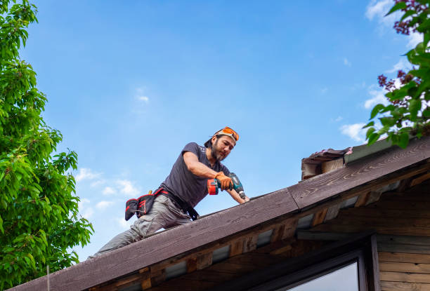 Best Gutter Installation and Repair  in Toccoa, GA