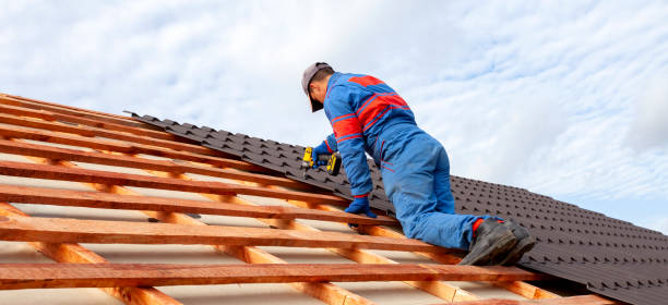 Best Cold Roofs  in Toccoa, GA